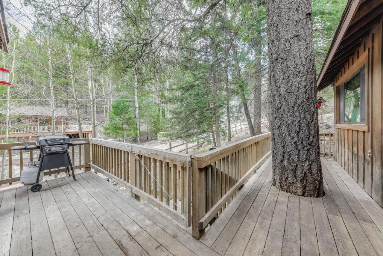 Cloudcroft Cabin Vacation Rental 3 Mi To Skiing! エクステリア 写真